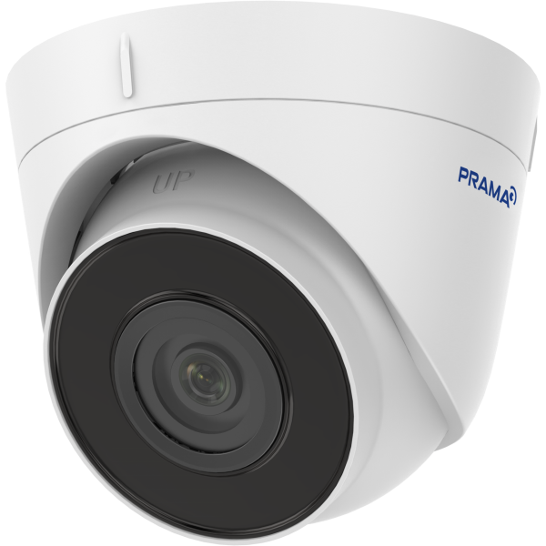 Prama 2 MP IR Fixed Network Turret Camera